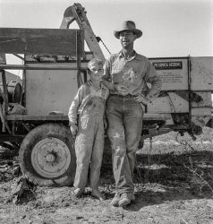 October 1939. "George Cleaver, new farmer on 177 acres, has five boys. The three older boys, ages 12, 16 and 18, are needed at home to develop the farm and do not go to school. Malheur County, Oregon." Photo by Dorothea Lange for the Farm Security Administration. View full size.