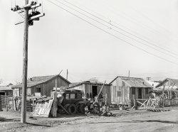 February 1939. "Housing. Mexican district in Robstown, Texas." Medium format negative by Russell Lee for the Farm Security Administration. View full size.
It&#039;s A Dog&#039;s LifeEspecially when you have something to do like this one.
He/She (not quite sure here) is totally oblivious and continues with routine regardless.
The humans however, are well aware of the photographic situation.
&quot;Tiny House&quot;Used to mean something entirely different before the Millennials came along!
(The Gallery, Cars, Trucks, Buses, Kids, Russell Lee)