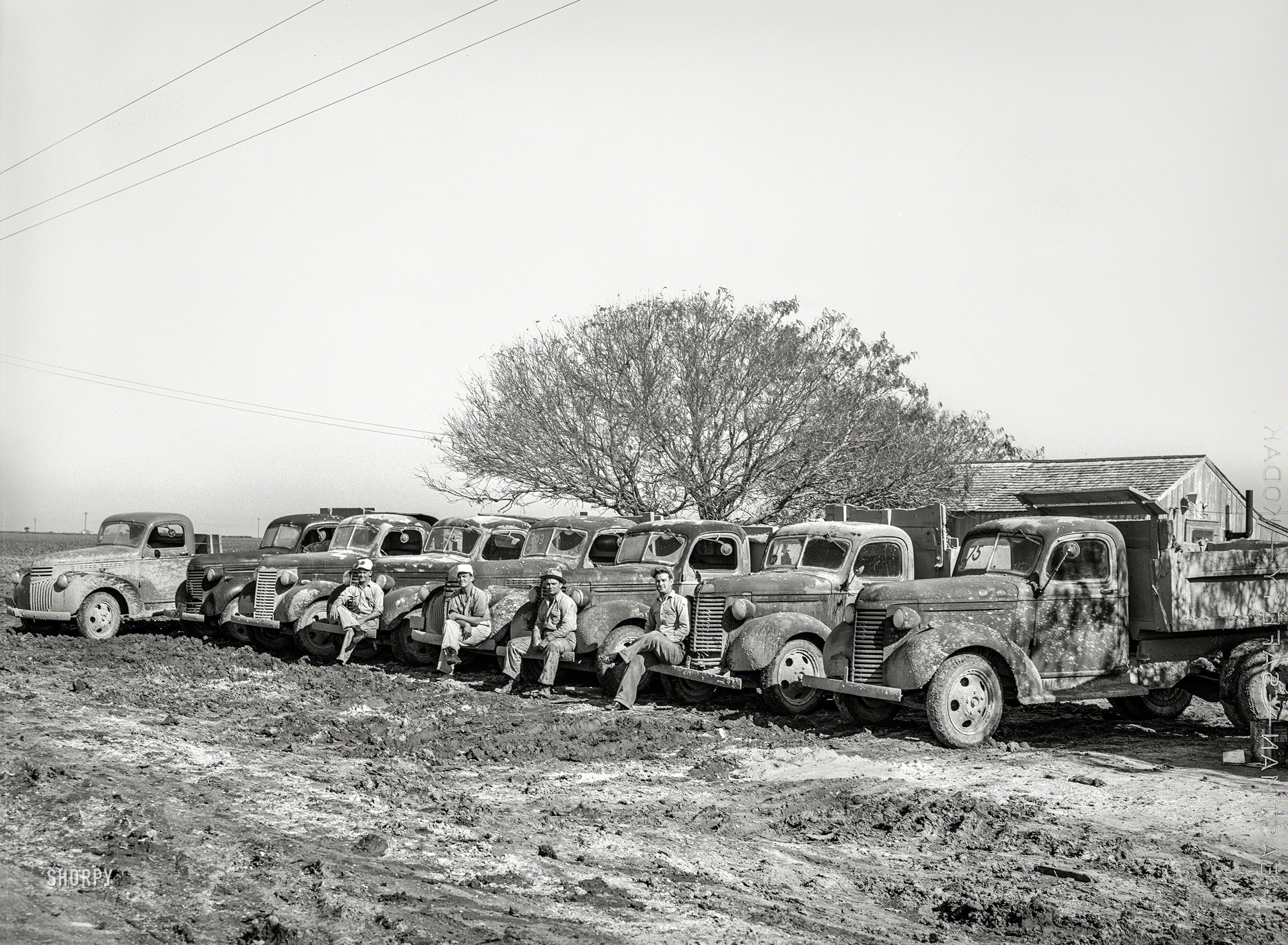 December 1940. "Lineup of trucks at workers' camp near naval air base now under construction. Corpus Christi, Texas." Photo by Russell Lee. View full size.