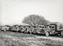 Trucks in a Row: 1940