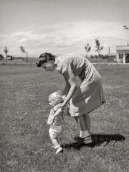 June 1941. "Farm worker's wife teaches her baby girl to walk at the FSA labor camp. Caldwell, Idaho." Medium format negative by Russell Lee. View full size.
