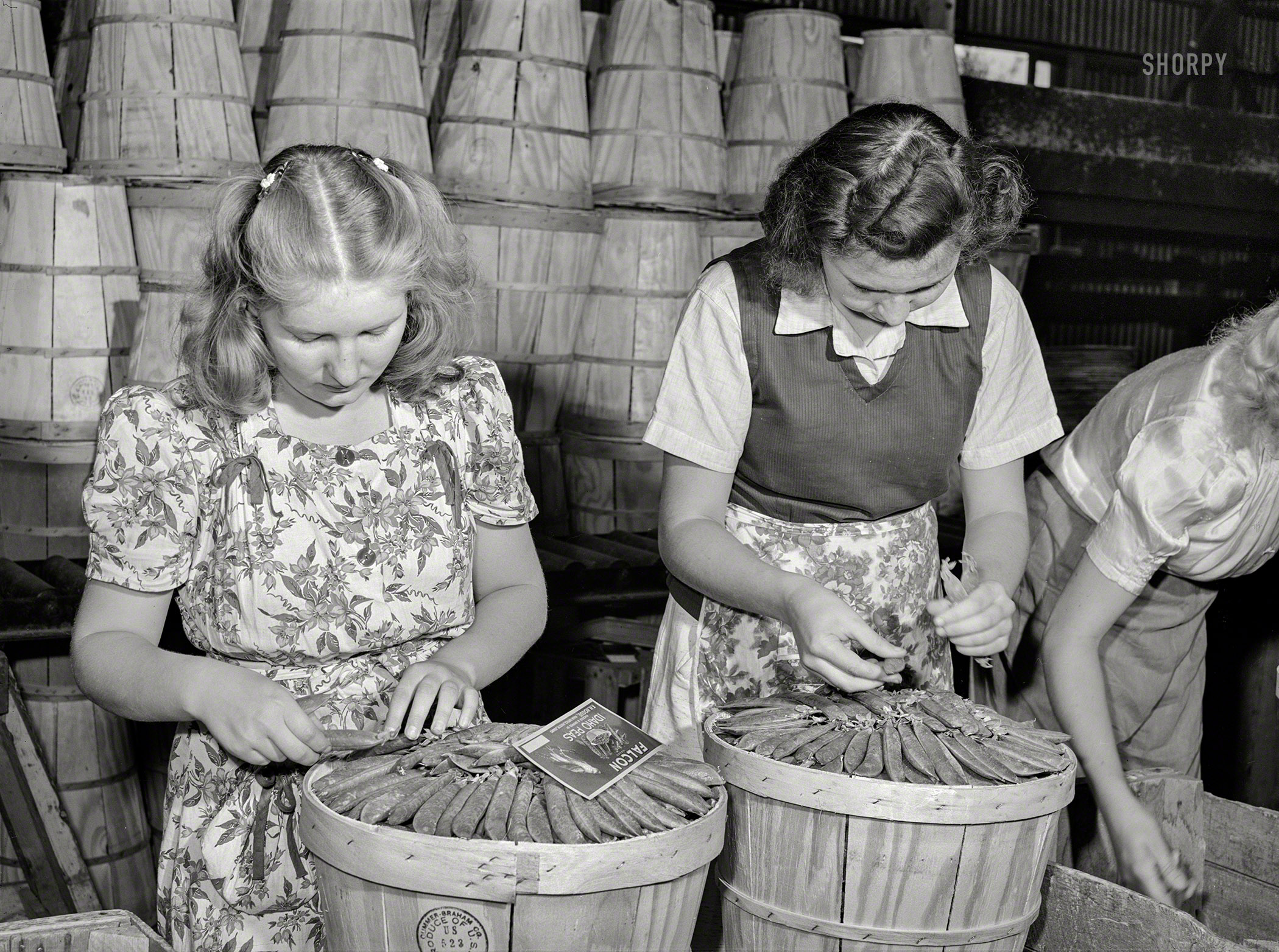 June 1941. "Dressing crates of peas for shipment. Canyon County, Idaho." Acetate negative by Russell Lee for the Farm Security Administration. View full size.
