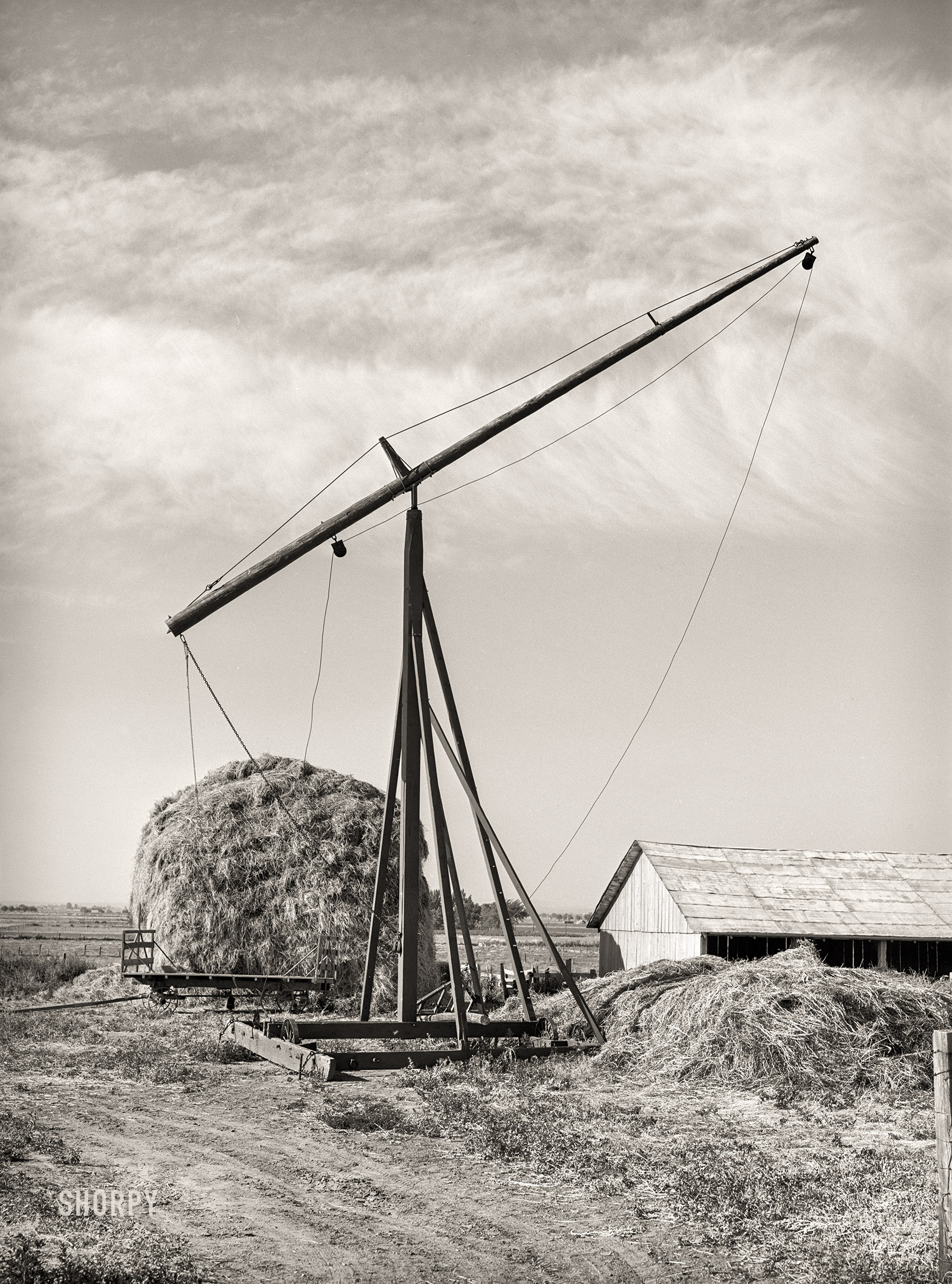 June 1941. "Hay stacker and haystack on farm of member of the Dairymen's Cooperative Creamery. Caldwell, Canyon County, Idaho." Medium format acetate negative by Russell Lee for the Farm Security Administration. View full size.