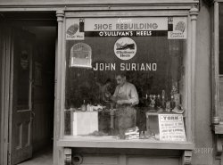 New York, 1938. "Shoe repair establishment on East 63rd Street." Medium format acetate negative by Sheldon Dick for the Farm Security Administration. View full size.