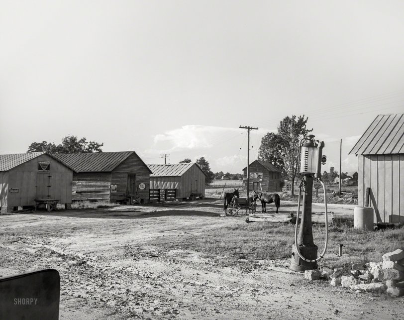 May 1940. From the vicinity of Stem, North Carolina, comes this uncaptioned snap of a gas pump, fertilizer barns and some mules by Jack Delano. View full size.
