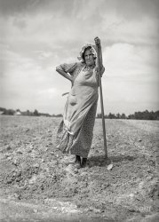 June 1940. "This woman and her daughter are helping their neighbors plant their tobacco field. The bonnet is homemade. On U.S. 15, about five miles northeast of Durham, North Carolina." Medium format negative by Jack Delano for the Farm Security Administration. View full size.