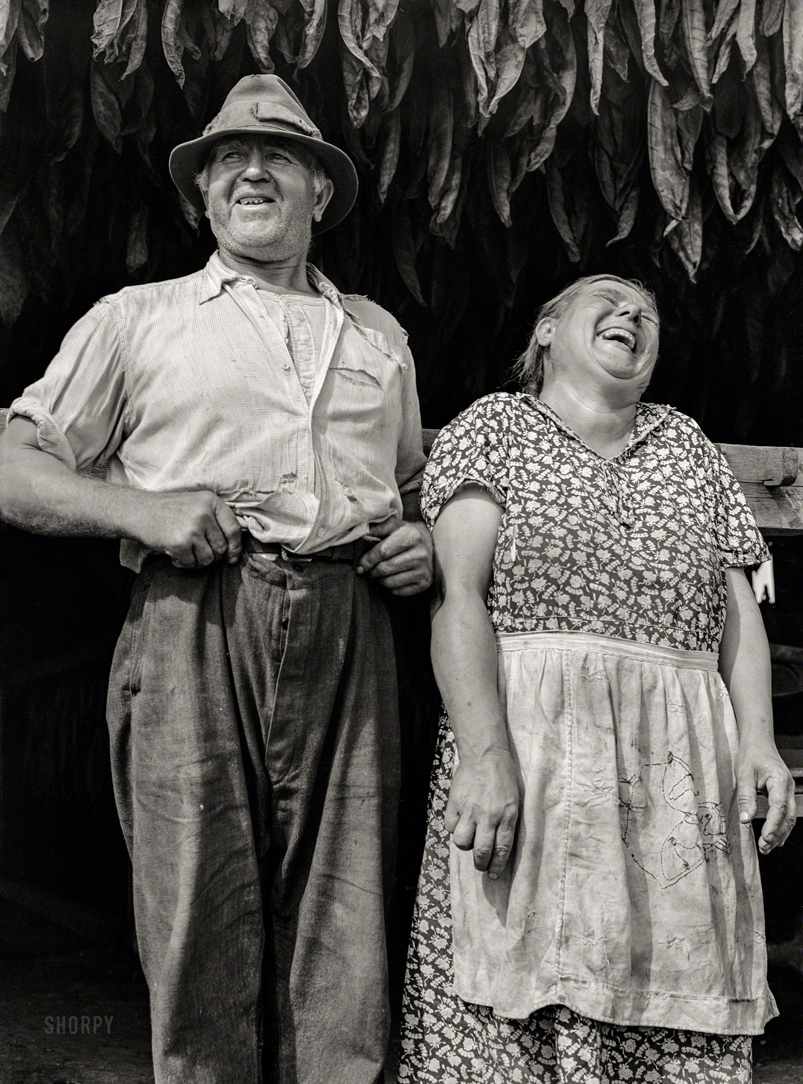 &nbsp; &nbsp; &nbsp; &nbsp; Photographer Jack Delano explains that he made the couple laugh by telling Mr. Lyman his pants were falling down. "The thought of such a catastrophe," Delano writes, "apparently made them break up."
September 1940. "Mr. and Mrs. Andrew Lyman, Polish tobacco farmers near Windsor Locks, Connecticut." Medium format acetate negative by Jack Delano for the Farm Security Administration. View full size.