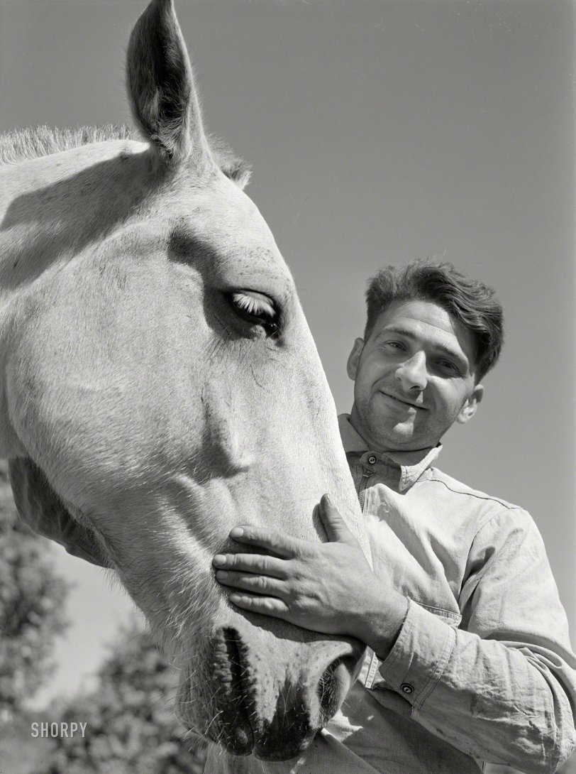 October 1940. "Mr. Thomas Festa, Italian FSA client with his horse on his farm two miles out of Newtown, Connecticut." Medium format acetate negative by Jack Delano for the Farm Security Administration. View full size.
