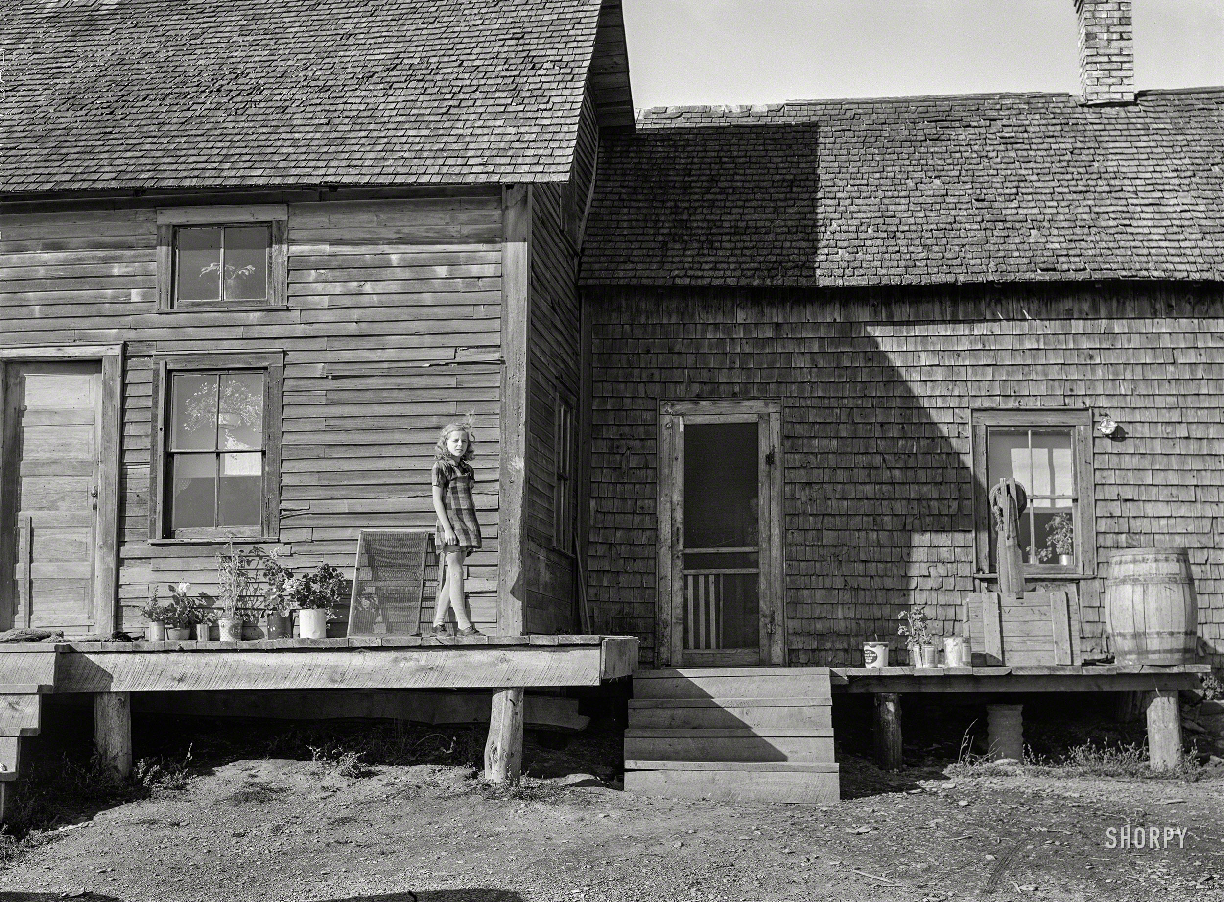 October 1940. "The daughter of Mr. Dave Labbee, French-Canadian potato farmer, outside their house near Wallagrass, Maine." Acetate negative by Jack Delano. View full size.