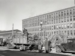 December 1940. "Christmas trees for sale at the market. Providence, Rhode Island." Medium format negative by Jack Delano. View full size.