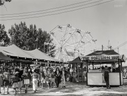 September 1941. "At the State Fair in Rutland, Vermont." Medium format negative by Jack Delano for the Farm Security Administration. View full size.