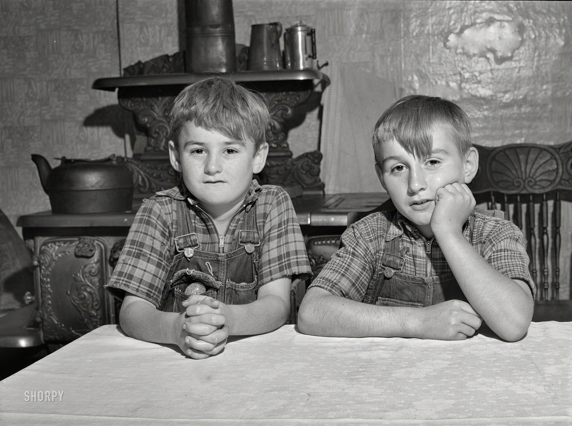 September 1941. "Two sons of William Gaynor, FSA dairy farmer near Fairfield, Vermont." Farm Security Administration photo by Jack Delano. View full size.