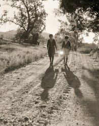 September 1941. "Two of the Gaynor boys walking to school near Fairfield, Vermont." Medium format negative by Jack Delano. View full size.