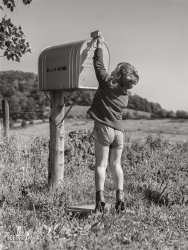 August 1941. "Dicky Gaynor, son of FSA dairy farmer near Fairfield, Vermont." Photo by Jack Delano for the Farm Security Administration. View full size.