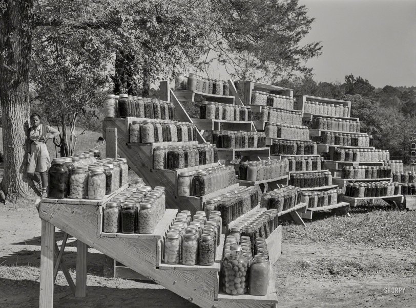 October 1941. "Penfield, Greene County, Georgia. Canned goods made by Doc and Julia Miller, Negro FSA clients." Medium format negative by Jack Delano for the Farm Security Administration. View full size.
