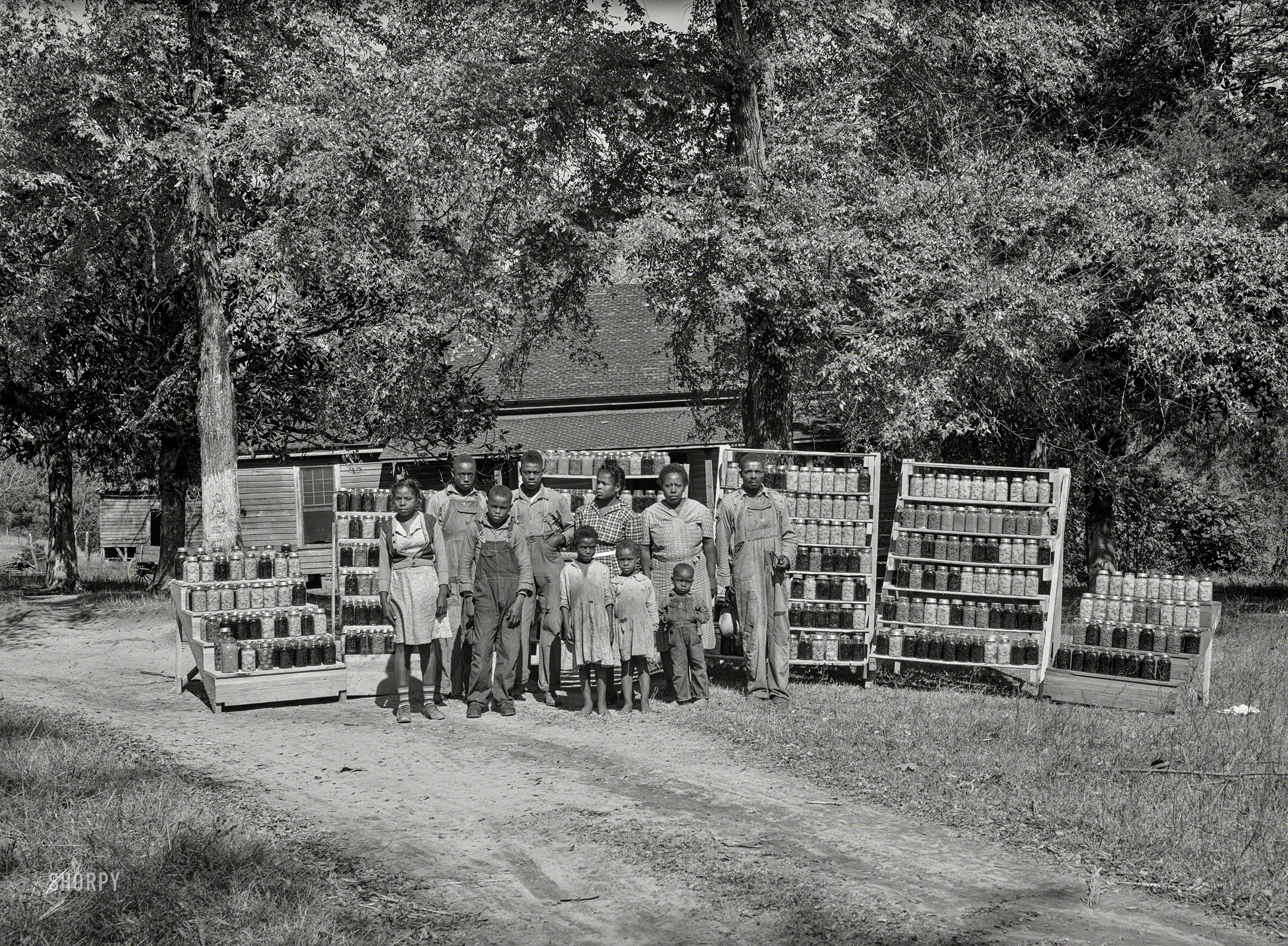 October 1941. Greene County, Georgia. "Canned goods made by Doc and Julia Miller, Farm Security Administration clients with 1,000 jars of fruit, vegetables, etc. they have put up for the winter." Yet another farm family exhausted after indulging the whims of FSA photographer Jack Delano. View full size.