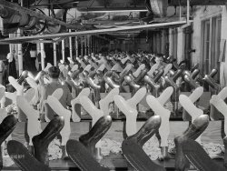 November 1941. "Sock driers at the hosiery mill in Greene County, Georgia." Medium format acetate negative by Jack Delano. View full size.