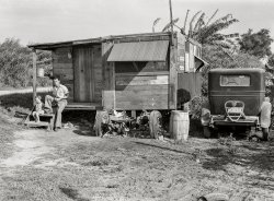 January 1939. "Migrant packinghouse workers' living quarters. Belle Glade, Florida." Acetate negative by Marion Post Wolcott for the Farm Security Administration. View full size.