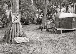 January 1939. "Migratory packinghouse workers' camp near Canal Point, Florida." Medium format negative by Marion Post Wolcott for the Farm Security Administration. View full size.