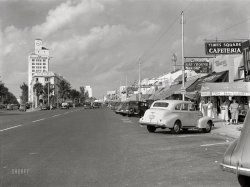 &nbsp; &nbsp; &nbsp; &nbsp; The Times Square Cafeteria, William Penn Hotel and Washington Avenue -- all located far south of their namesakes, in Miami Beach.
April 1939. "One of Miami's streets showing varied small shops, signs, and tourist bureaus. Miami Beach, Florida." Acetate negative by Marion Post Wolcott. View full size.
What&#039;s in namesPlus the Blackstone Hotel, sharing the name of Chicago's headquarters of the "smoke-filled room". Pretty much unchanged in appearance, the Miami Blackstone is now apartments.
My favorite, the Havana Tours/Greyhound Bus sign calls up images of a very wet 90-mile trip.
1D1565 1939 Oldsmobile Series 60 sedan.
http://classiccarcatalogue.com/OLDSMOBILE_1939.html
The Canadian-manufactured 1939 Pontiac (Series 25) Chieftain was almost identical
to the low-price field F39 Sixty Olds, except for the grille and some other exterior trim pieces. I sold mine two years ago.

+80Below is the same view from June of 2019.
Havana ToursDon't miss that last Greyhound back to Miami.
How times changeMy mom, born in the Bronx in 1925, lived in Miami in her late teens and early twenties. This photo is the Miami she remembered when she and my stepdad decided we should move there from Maryland in 1973. Lots of things changed during those 25 years.
[1973 is when my parents decided we should *leave* Miami. - Dave]
HousedressesThose 1939 ladies with the dog could easily have been my 1960s mother in those comfy cotton dresses; the only difference would be my mom would be in sandals or flip-flops. Same "pocketbooks" and same tightly curled hair. 
The lack of parking hasn&#039;t changed.My father's family came to Miami in 1919, my mom's family in 1940. She told me in the summer time you could shoot a cannon down Lincoln Road sidewalk and not hit anybody. Before air conditioning, South Florida was very seasonal. I see they have 30 minute parking even back then. Not many people know but South Miami Beach was at one time a huge avocado grove. The little canal that connects Indian Creek was dug to transport avocados to boats that could not come to shore because of the shallow water. My dad knew people who hunted rabbits on South Beach.
Photos from that eraboth interior and exterior have that special bright glow  in them that I am fond of.
Piggly WigglyI loved seeing the Piggly Wiggly sign; it brought back pleasant memories of younger days. There were a couple in my college town until as recently as 2009, when all their Texas stores closed due to a franchiser bankruptcy.
Despite the funny name, they are also known for being the first self-service grocery store, founded in 1916.
(The Gallery, Eateries & Bars, Florida, M.P. Wolcott, Miami, Stores & Markets)