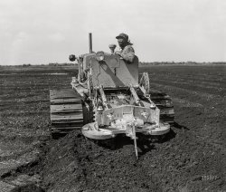 April 1939. "A whirling plough used by United States Sugar Corporation in soft powdery muck to prepare soil for planting sugarcane. Near Pahokee, Florida." Medium format acetate negative by Marion Post Wolcott for the Farm Security Administration. View full size.