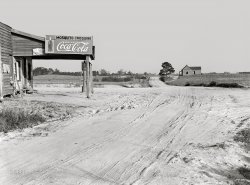 April 1939. "Mosquito Crossing, near Greensboro. Greene County, Georgia." Medium format acetate negative by Marion Post Wolcott for the Farm Security Administration. View full size.