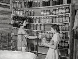 April 1939. Coffee County, Alabama. "Mrs. Peacock and daughter Mary, Rural Rehabilitation clients for four years, getting some of their supply of canned foods for dinner. Many families keep their jars on shelves along wall in bedroom and living room." Acetate negative by Marion Post Wolcott. View full size.