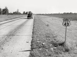 November 1939. "Cotton fallen from wagons on way to gin along main highway. Mississippi Delta near Clarksdale." Acetate negative by Marion Post Wolcott. View full size.