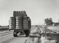 November 1939. "Truck with bales of cotton from Hopson Planting Company gin going up highway to warehouse near Clarksdale, Mississippi Delta." Photo by Marion Post Wolcott for the Farm Security Administration. View full size.