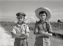 June 1940. Schriever, Louisiana. "Cajun children on Terrebonne Farms Project." Medium format negative by Marion Post Wolcott for the Farm Security Administration. View full size.