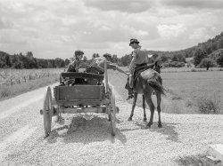 July 1940. "Rural mailman who has brought the mail to the crossroads transfers letters and packages to another postman's saddlebags. This rider takes the mail farther up the side road and creek beds where no wagon or car can go. In the mountain section near Morehead, Kentucky." Medium format acetate negative by Marion Post Wolcott. View full size.