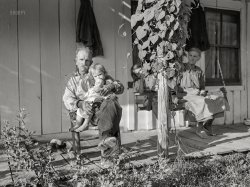 September 1940. "Mountaineer with neighbor and her grandchildren on front porch of their home up Frozen Creek. Breathitt County, Kentucky." Medium format acetate negative by Marion Post Wolcott for the Farm Security Administration. View full size.
