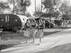 January 1941. "Sarasota, Florida, trailer park. Students coming from school in the afternoon." The lovely lasses last seen here in a different film format. Medium format acetate negative by Marion Post Wolcott for the Farm Security Administration. View full size.