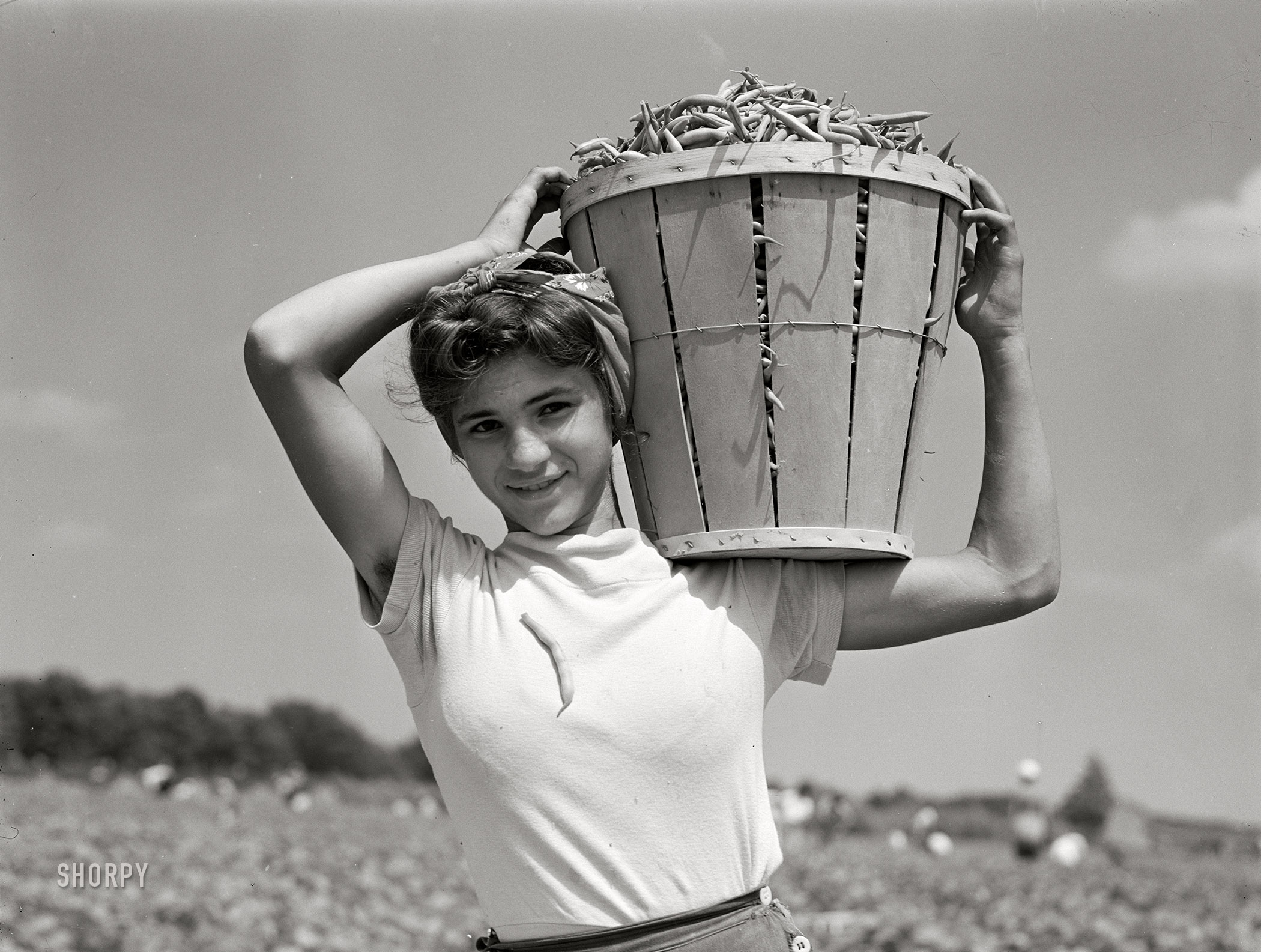 July 1941. "Italian day laborer with basket of beans she has just picked. Seabrook Farms, Bridgeton, New Jersey." Medium format acetate negative by Marion Post Wolcott for the Farm Security Administration. View full size.