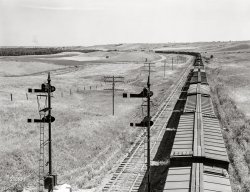 August 1941. "Freight train going west from Minot, North Dakota, across the plains." Medium format negative by Marion Post Wolcott for the Farm Security Administration. View full size.
