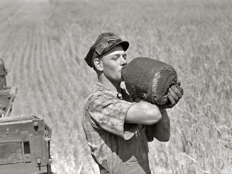 August 1941. Froid, Montana. "Scandinavian tractor combine driver drinking water out of a jug in the field where they were harvesting wheat on the Schnitzler Corporation ranch. This boy came to the Schnitzler ranch from South Dakota, where he lives and first harvested their earlier wheat crop before coming up here for the Montana harvest season." Medium format acetate negative by Marion Post Wolcott for the Farm Security Administration. View full size.
