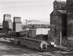 August 1941. "Grain storage elevators. Havre, Montana." Medium format acetate negative by Marion Post Wolcott for the Farm Security Administration. View full size.