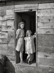 April 1940. "Children living in shacktown along Mississippi River bottom. Dubuque, Iowa." Acetate negative by John Vachon for the Farm Security Administration. View full size.
