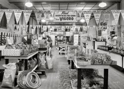 April 1940. "Earl May seed store. Marshalltown, Iowa." Medium format acetate negative by John Vachon for the Resettlement Administration. View full size.