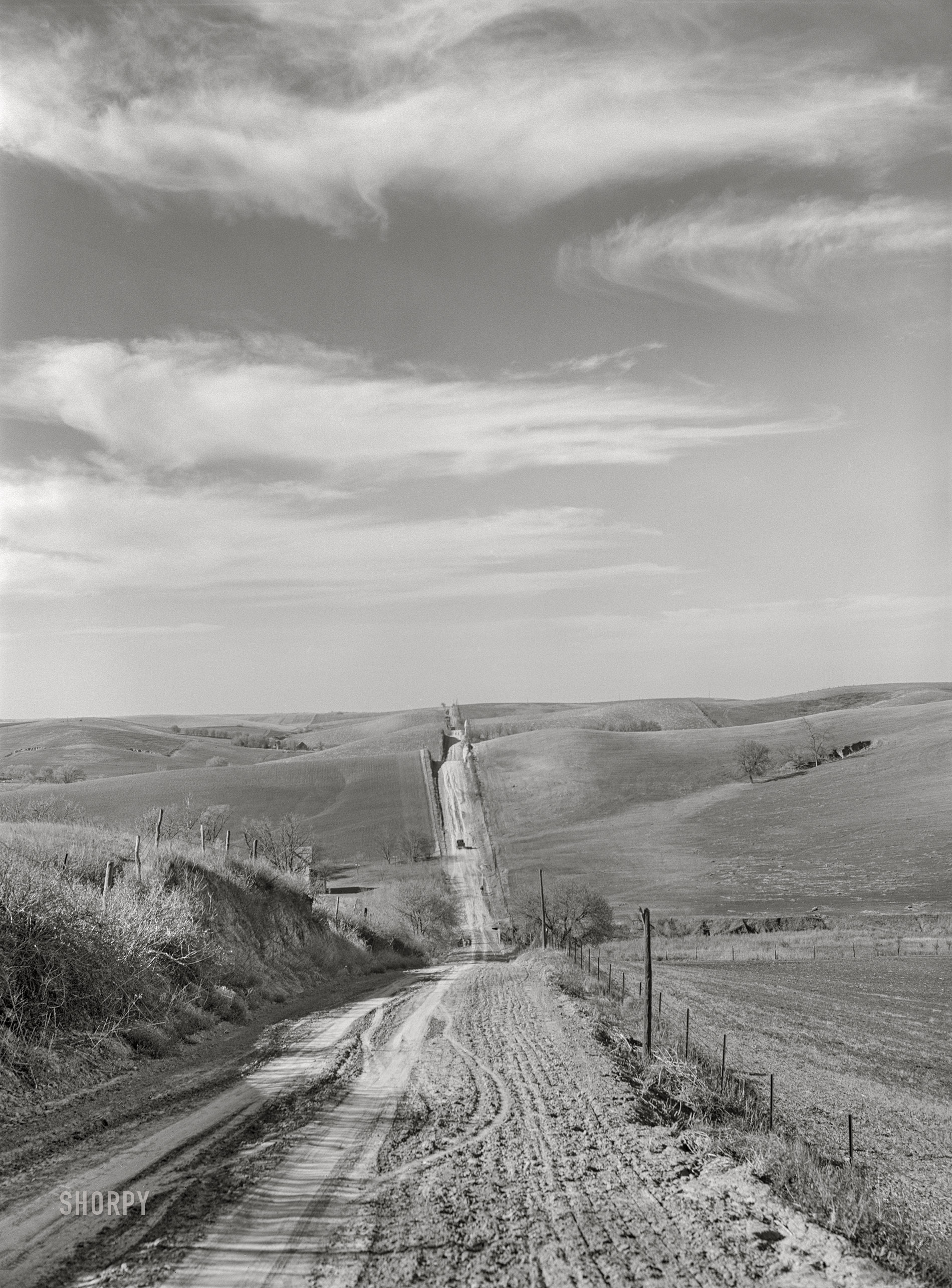 May 1940. "County road in Western Iowa corn country. Monona County." Medium format acetate negative by John Vachon for the Farm Security Administration. View full size.