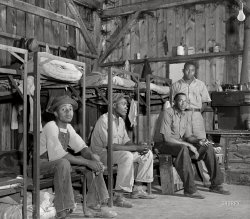 July 1940. Berrien County, Michigan. "Old barn used as bunkhouse for migrant fruit pickers from the South. This grower employs only unmarried Negroes." Medium format acetate negative by John Vachon for the Farm Security Administration. View full size.
