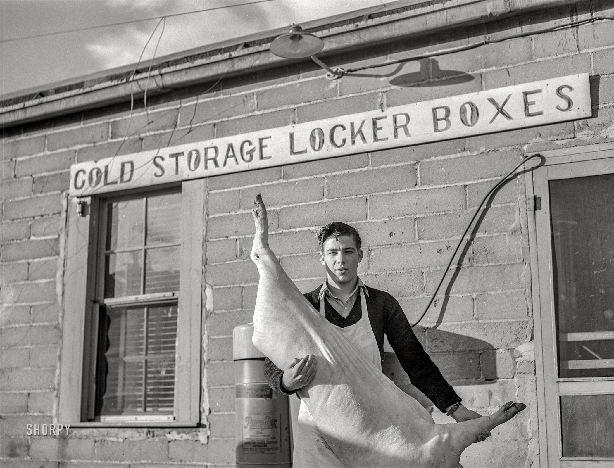 October 1940. "Bringing farmer's butchered pig into co-op cold storage lockers. Casselton, North Dakota." Photo by John Vachon for the Farm Security Administration. View full size.