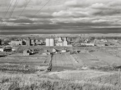 November 1940. "Velva, North Dakota." Birthplace of CBS newsman Eric Sevareid. Medium format acetate negative by John Vachon for the Farm Security Administration. View full size.
Velva on Route 52Velva is located on U.S. 52, which, unlike most even-numbered U.S. highways, runs not primarily east-west but diagonally for just over 2000 miles from Portal, North Dakota, to Charleston, South Carolina.  Its route runs through the Twin Cities, Rochester, Dubuque, Dixon Illinois (birthplace of Ronald Reagan) and Indianapolis. Its lowly status is reflected in the fact that at several junctions with state highways and even county roads, the "lesser" roads have the right of way. Not in Minnesota, however, where it runs concurrently with I-94 to the Twin Cities, and then has four-lane almost freeway status all the way through Rochester, until it crosses I-90 in southern Minnesota, where it reverts to being a two lane road. The journey on 52 from southern Minnesota to Dubuque is very scenic. 
(The Gallery, Agriculture, John Vachon, Railroads, Rural America, Small Towns)