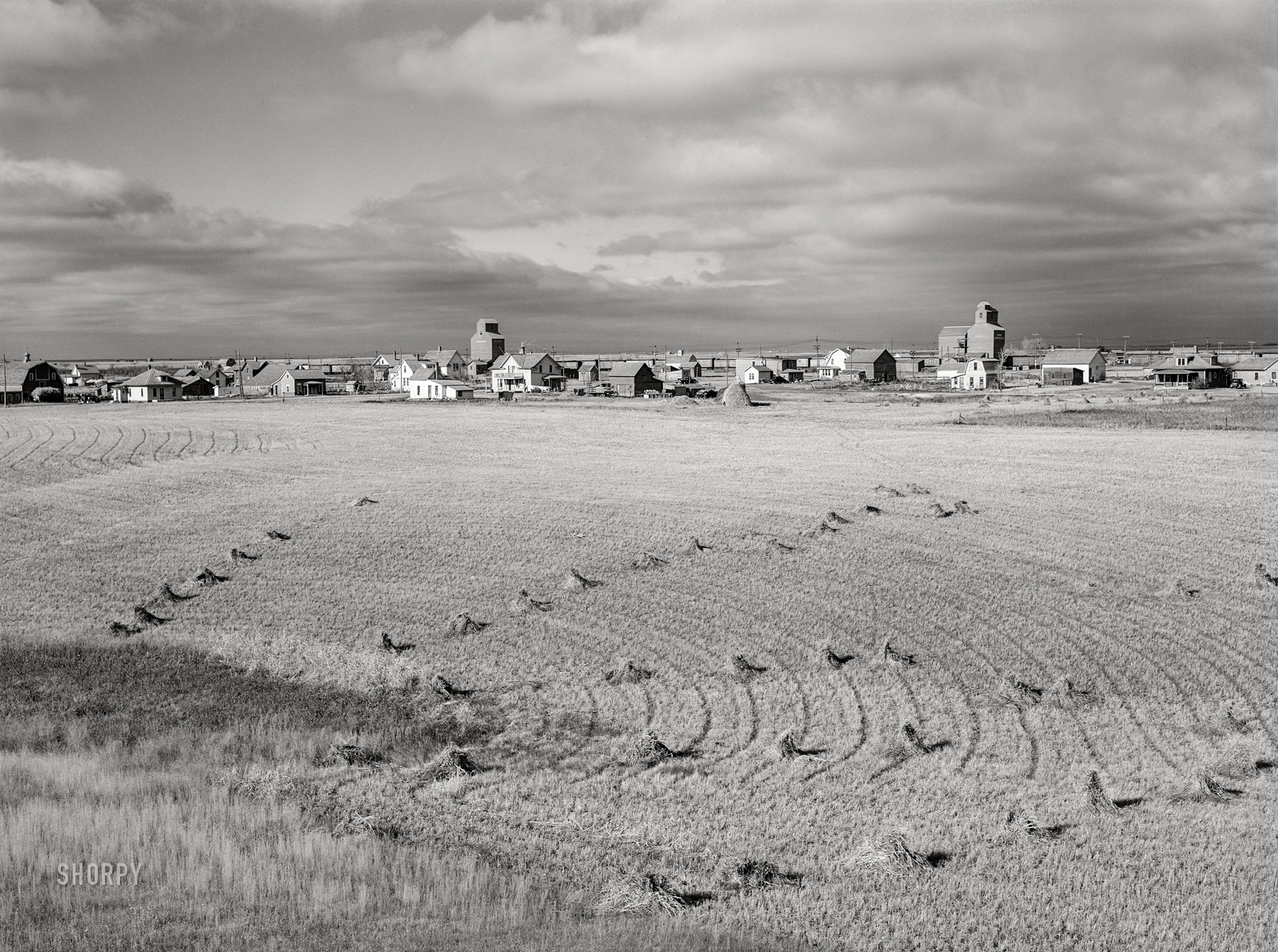 October 1940. "Surrey, Ward County, North Dakota." Medium format acetate negative by John Vachon for the Farm Security Administration. View full size.
