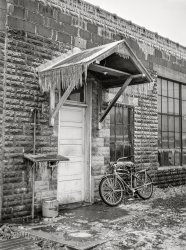 January 1941. "Harrisonburg, Virginia." Braking at the door till someone lets it in. Medium format acetate negative by John Vachon for the Farm Security Administration. View full size.