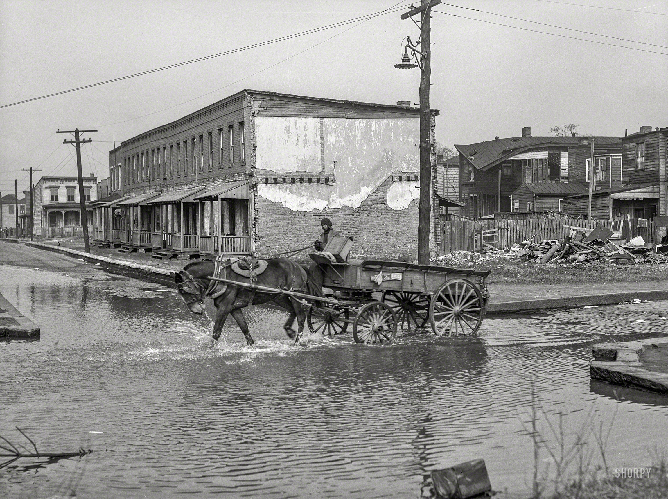 March 1941. "Backed up storm sewer in Negro slum district. Norfolk, Virginia." Photo by John Vachon for the Farm Security Administration. View full size.