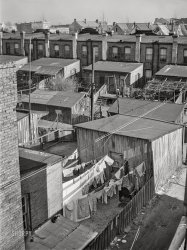 March 1941. "Overcrowded Navy towns. Housing in Newport News, Virginia." Medium format acetate negative by John Vachon for the Farm Security Administration. View full size.