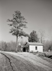 March 1941. "Gas station. King William County, Virginia." Medium format acetate negative by John Vachon for the Farm Security Administration. View full size.