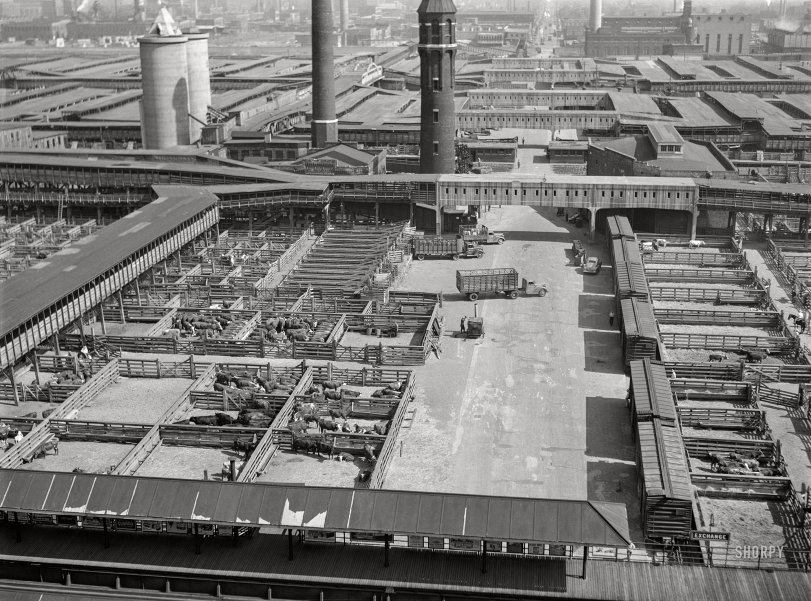 Union Stockyards: 1941