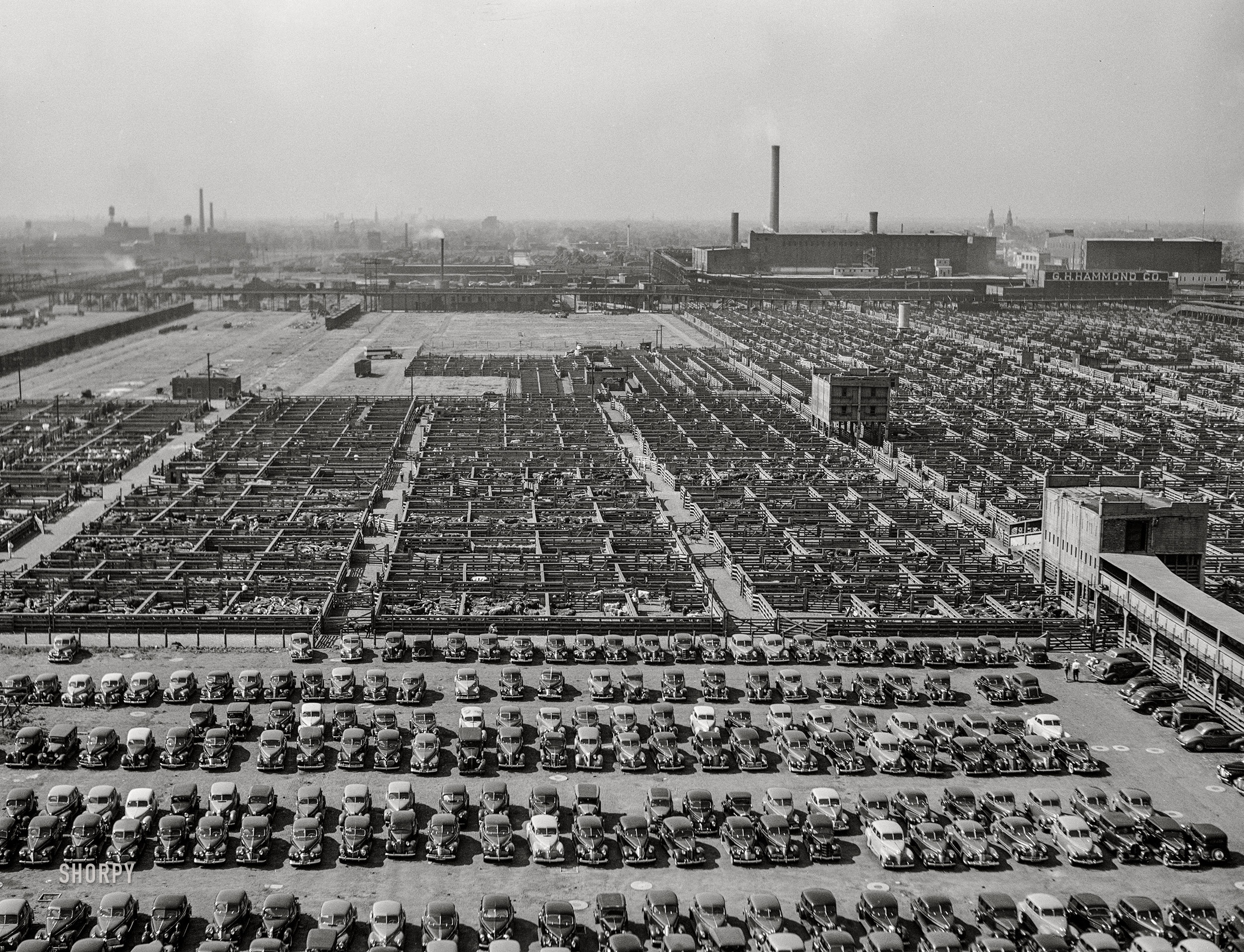 July 1941. "Union Stockyards, Chicago. Employees' parking lot in the foreground." Medium format acetate negative by John Vachon for the Farm Security Administration. View full size.
